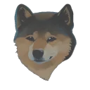 DickerMuli