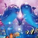 Twin Dolphin~ver.2~