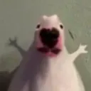 vib