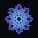 Shopios