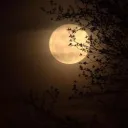 Les histoires d'Astraé 🌙