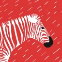 The Zebra Herd