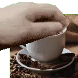 𝗚𝗮𝗺𝗶𝗻𝗴 𝗖𝗮𝗳𝗲