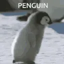 RpgPenguin Discord