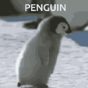 RpgPenguin Discord
