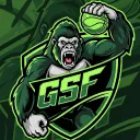 GSF Gaming NS2 🎮