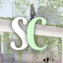 study city's icon