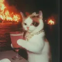 Bombing gng 💣 discord icon