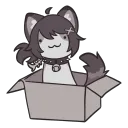 ｡ﾟ✶ฺ space kitty club