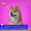 Shibe Drill's Gamer Zone: REBOOTED