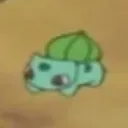 TheWestieBois's icon