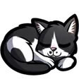 Nth Anomaly's Midnight Channel