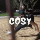 Cosy ♡ | Gaming・Social・Emotes