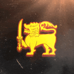 ⭐ CEYLON CAPITAL - Discord Server ⭐ CEYLON CAPITAL - Discord Server
