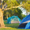 Parody Twitter's Campsite