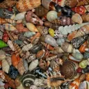 ! eternity ™ Discord Server Icon