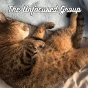 The Unfocused Group