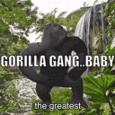 Baddies ONLY Jungle