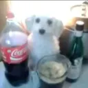 さくら