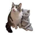 Cat Lovers Only