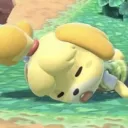 Haha animal crossing fans go brrrrrrr