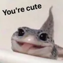 Bpd friends