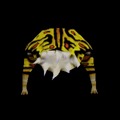 Discovery icon for BullSquid.com Discord server