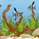 Blake's Aquatics