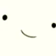 BIDO DIScord BD's server