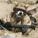 Raccoon Army