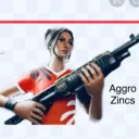 Aggro Zincs's server