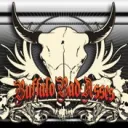 <{BBA}>  Buffalo Bad Asses