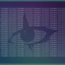 Official Team Awake