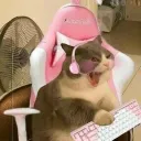 beetopia !?