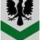 Das Heer der Hoffnung