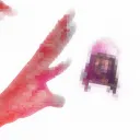 Zai's Cookout  Discord Server Icon