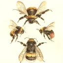 The Swarm