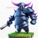 AIDEN'N SHOP COC