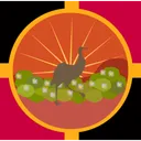 Warzone Australia