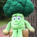 Serveur brocoli
