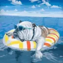 Chilling Zone