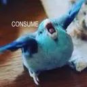 Pip's server