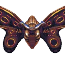 Moth Prophets