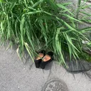 短編大会