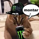 MOntar 2