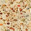 Dzaid ufolud яна. anh._ Calla!... Discord Server Icon