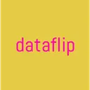 Dataflip