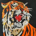 Outcats