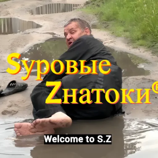 Sуровые Zнатоки® — мониторинг Discord сервера, статистика и рейтинг