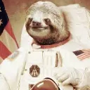 The Sloth King's Court